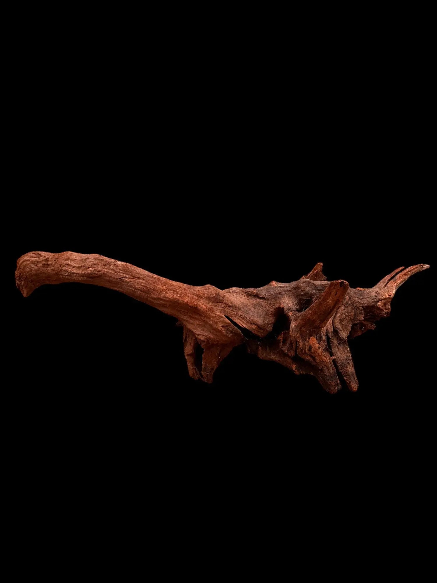 Drift Wood - 79*23*20 - cod.035 AQPET