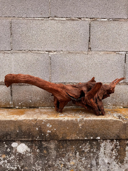 Drift Wood - 53*26*57 - cod.036 AQPET