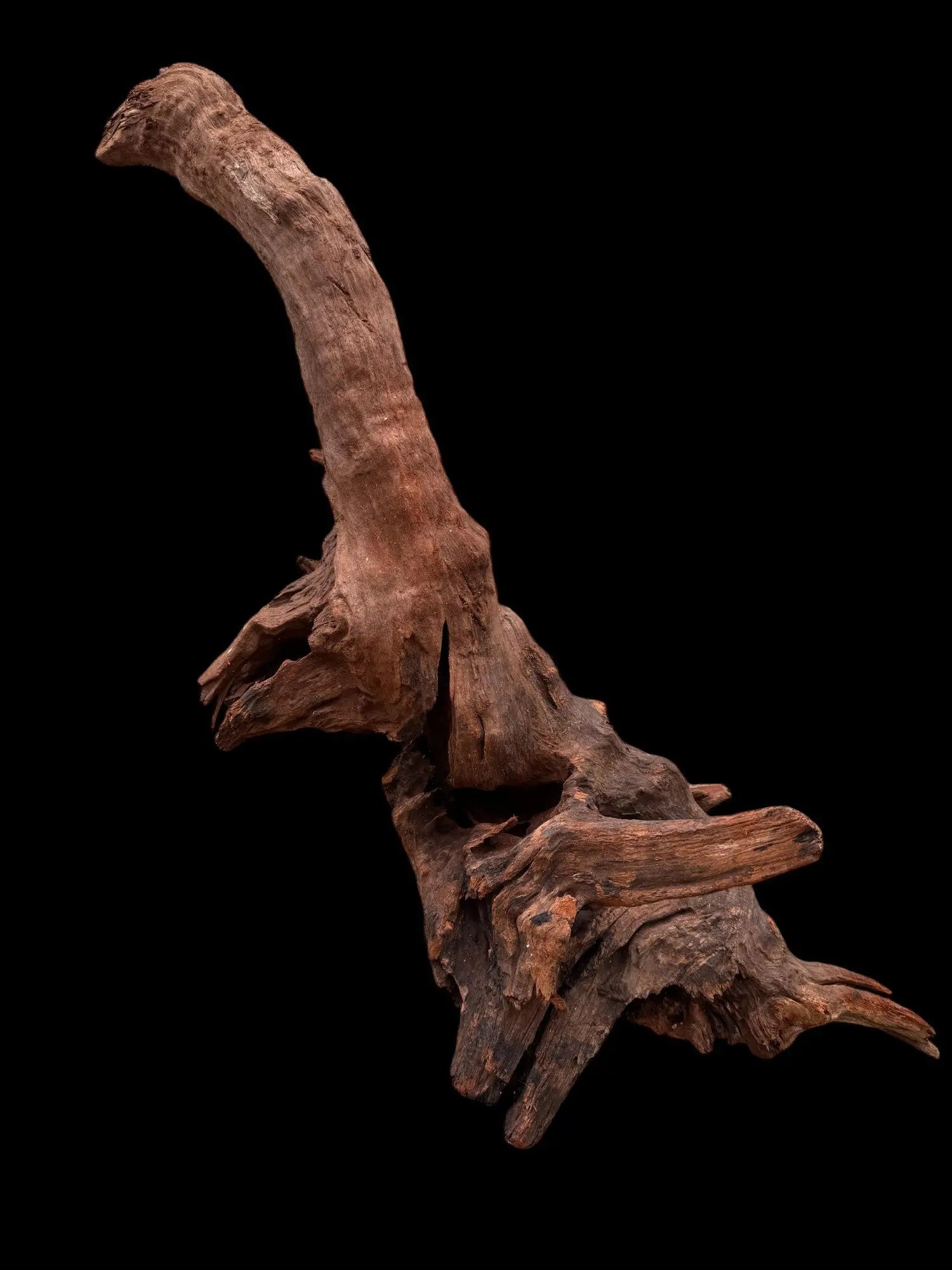 Drift Wood - 79*23*20 - cod.035 AQPET
