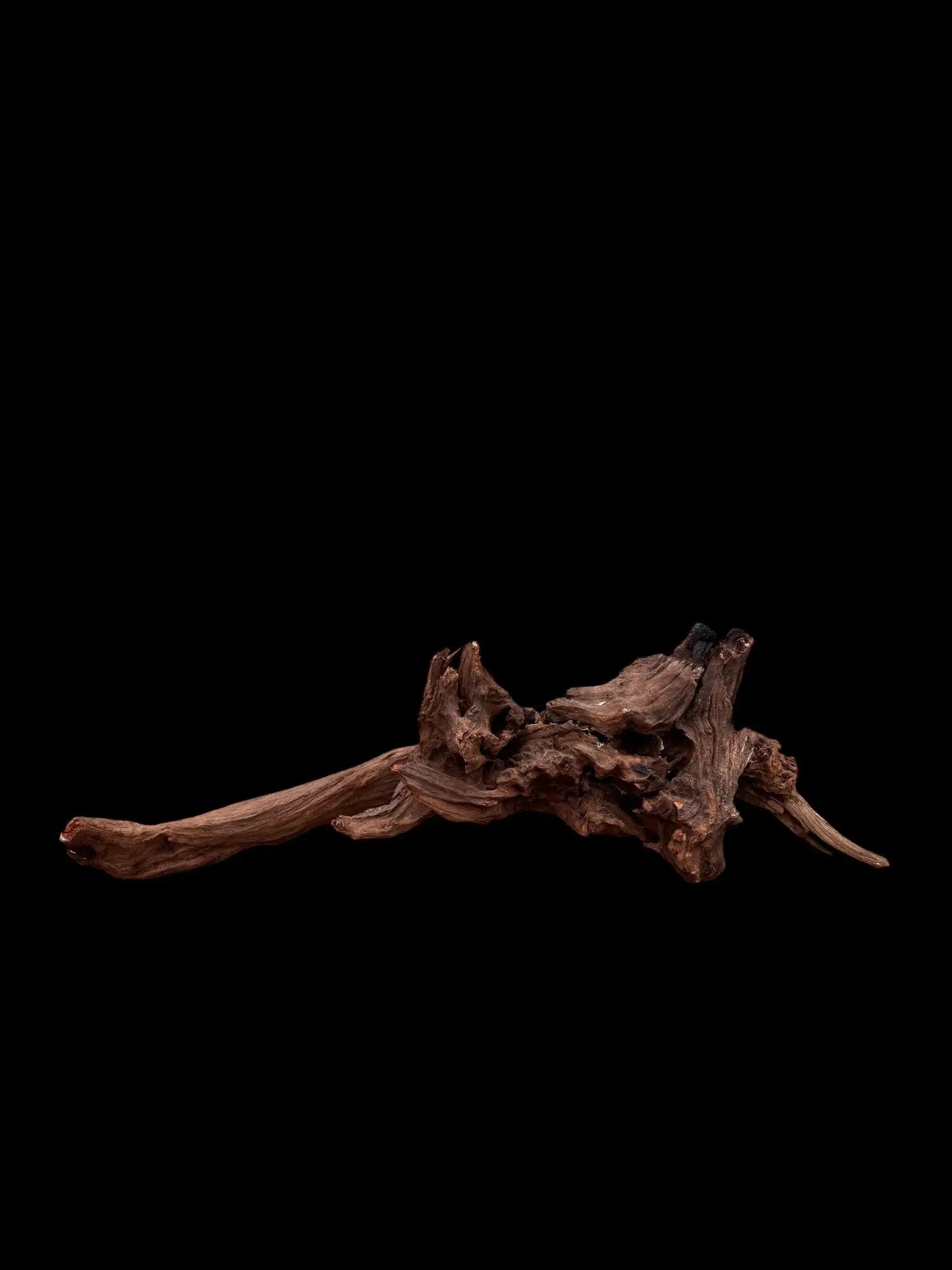 Drift Wood - 79*23*20 - cod.035 AQPET