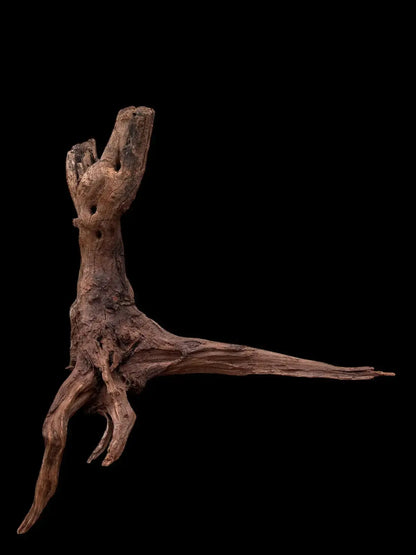 Drift Wood - 53*26*57 - cod.036 AQPET