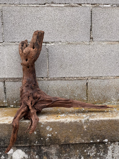 Drift Wood - 53*26*57 - cod.036 AQPET