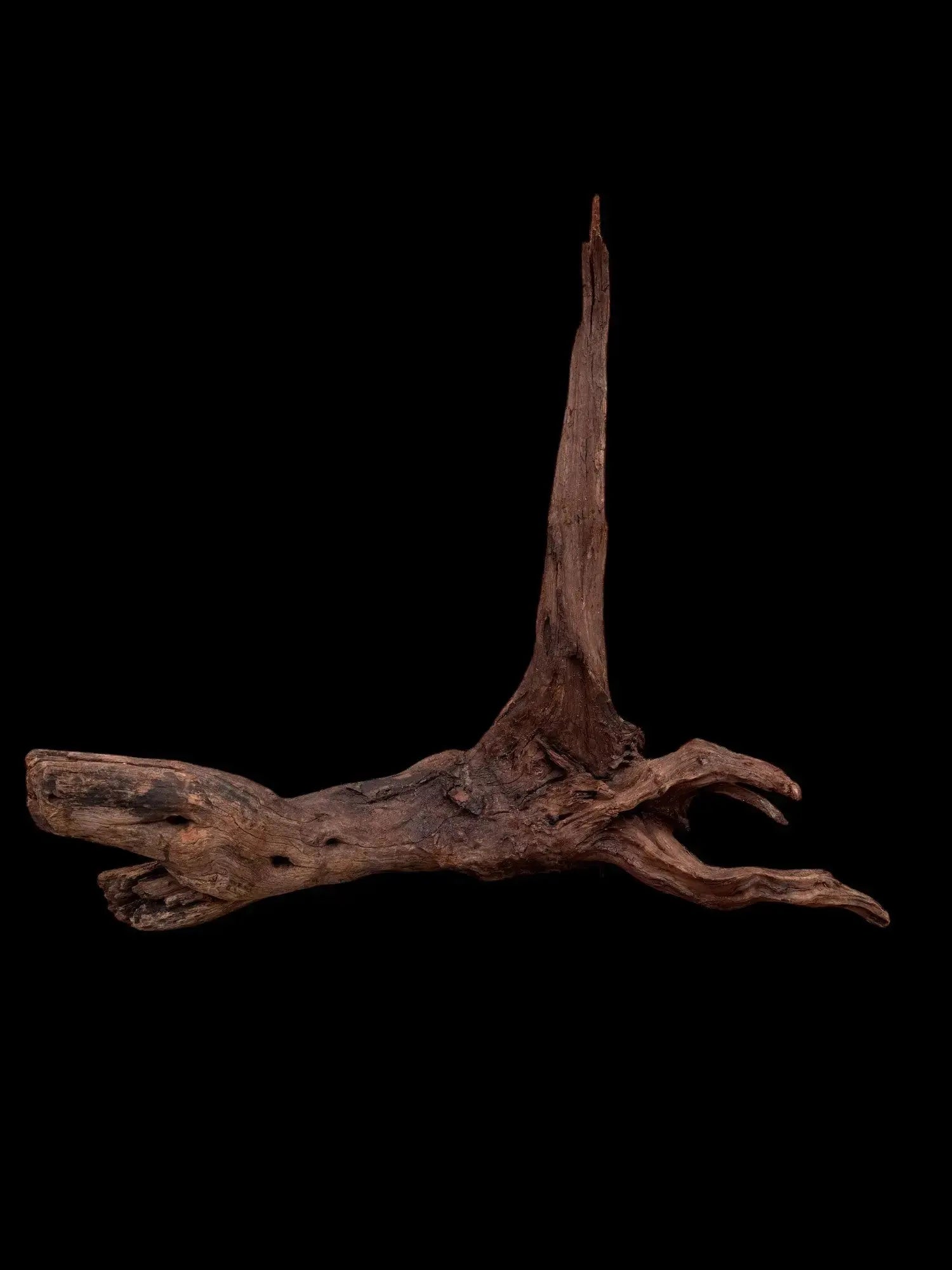 Drift Wood - 53*26*57 - cod.036 AQPET
