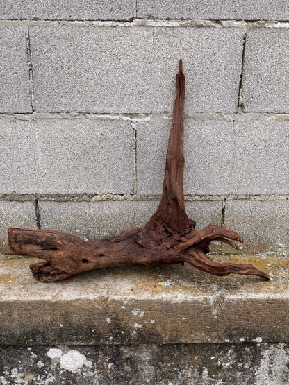 Drift Wood - 53*26*57 - cod.036 AQPET