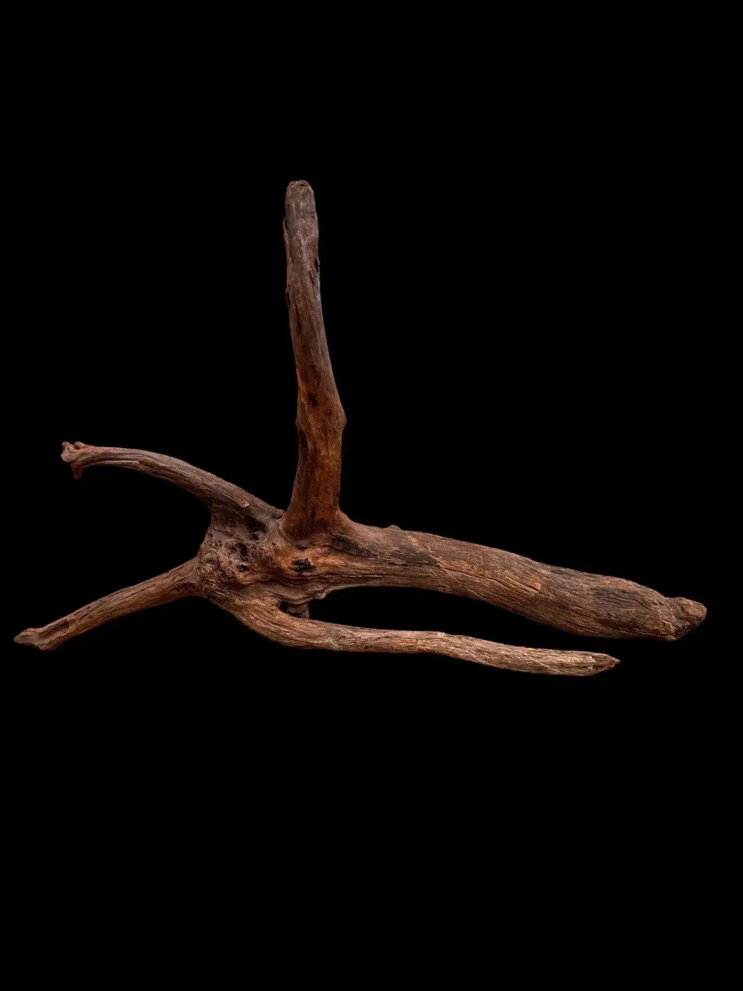 Drift Wood - 75*22*42 - cod.038 AQPET