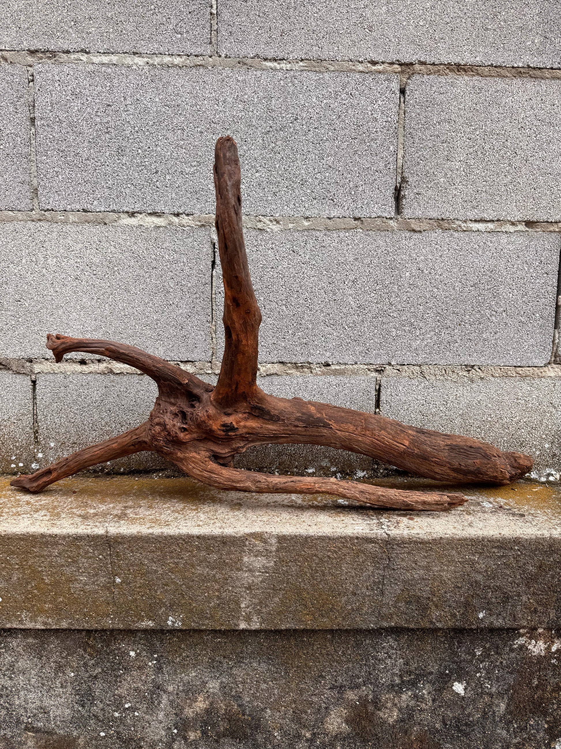 Drift Wood - 75*22*42 - cod.038 AQPET