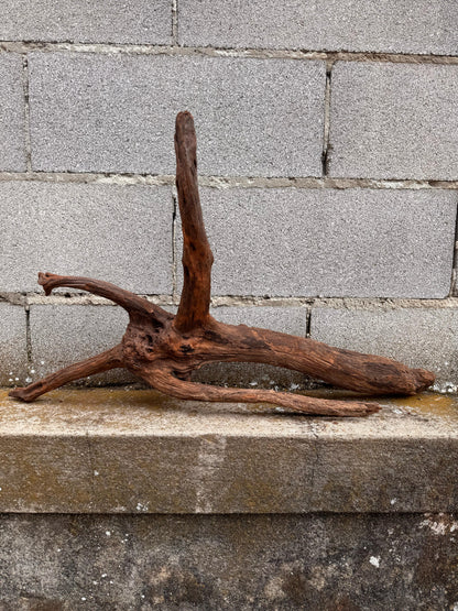 Drift Wood - 75*22*42 - cod.038 AQPET