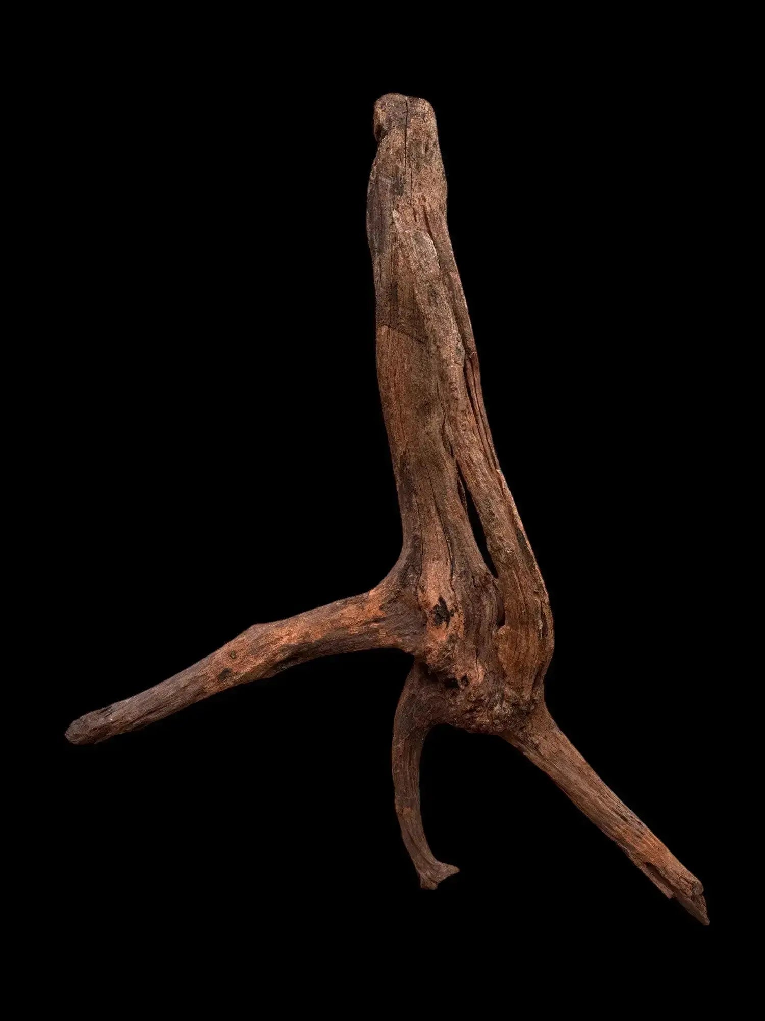 Drift Wood - 75*22*42 - cod.038 AQPET
