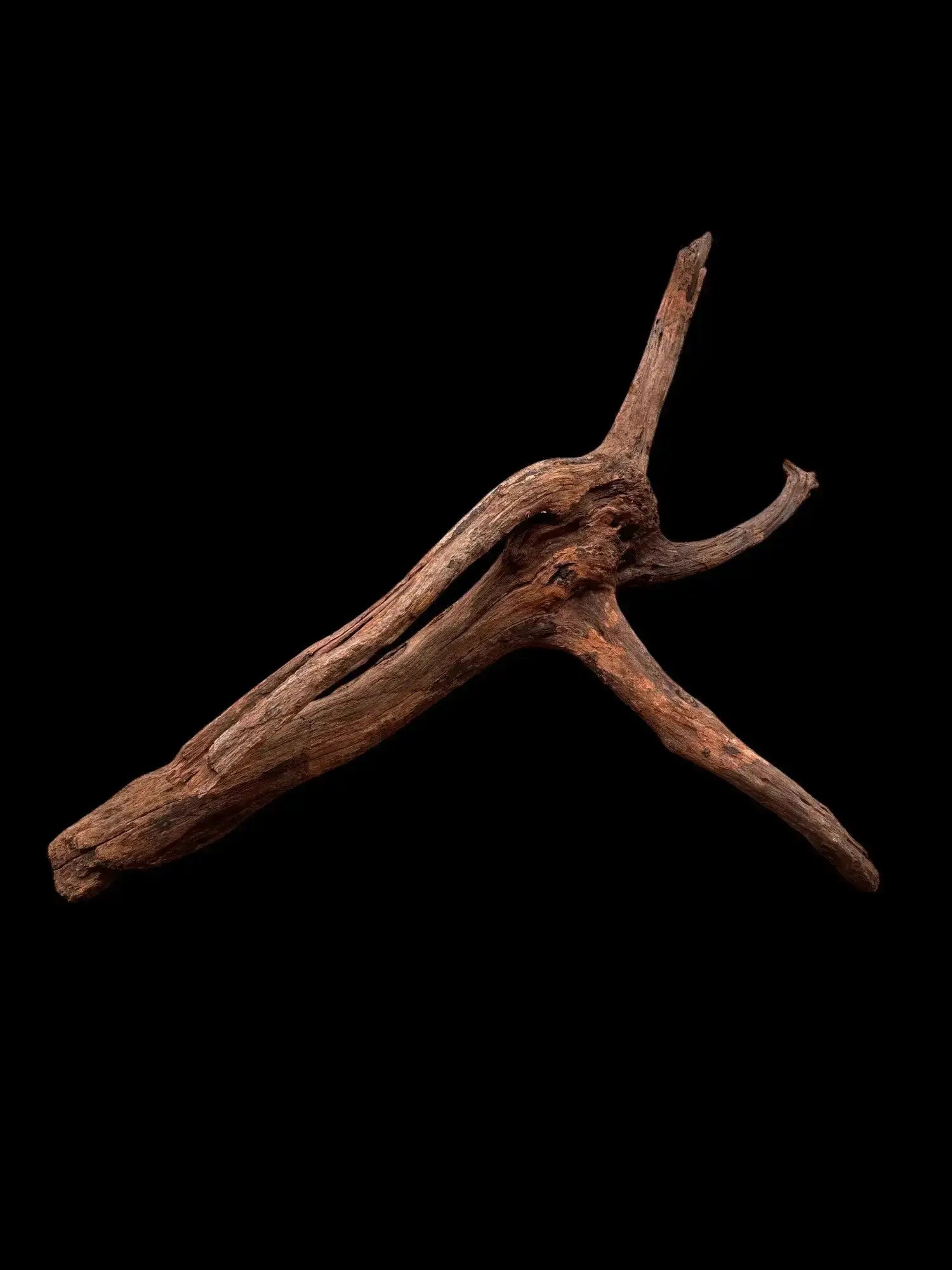 Drift Wood - 75*22*42 - cod.038 AQPET