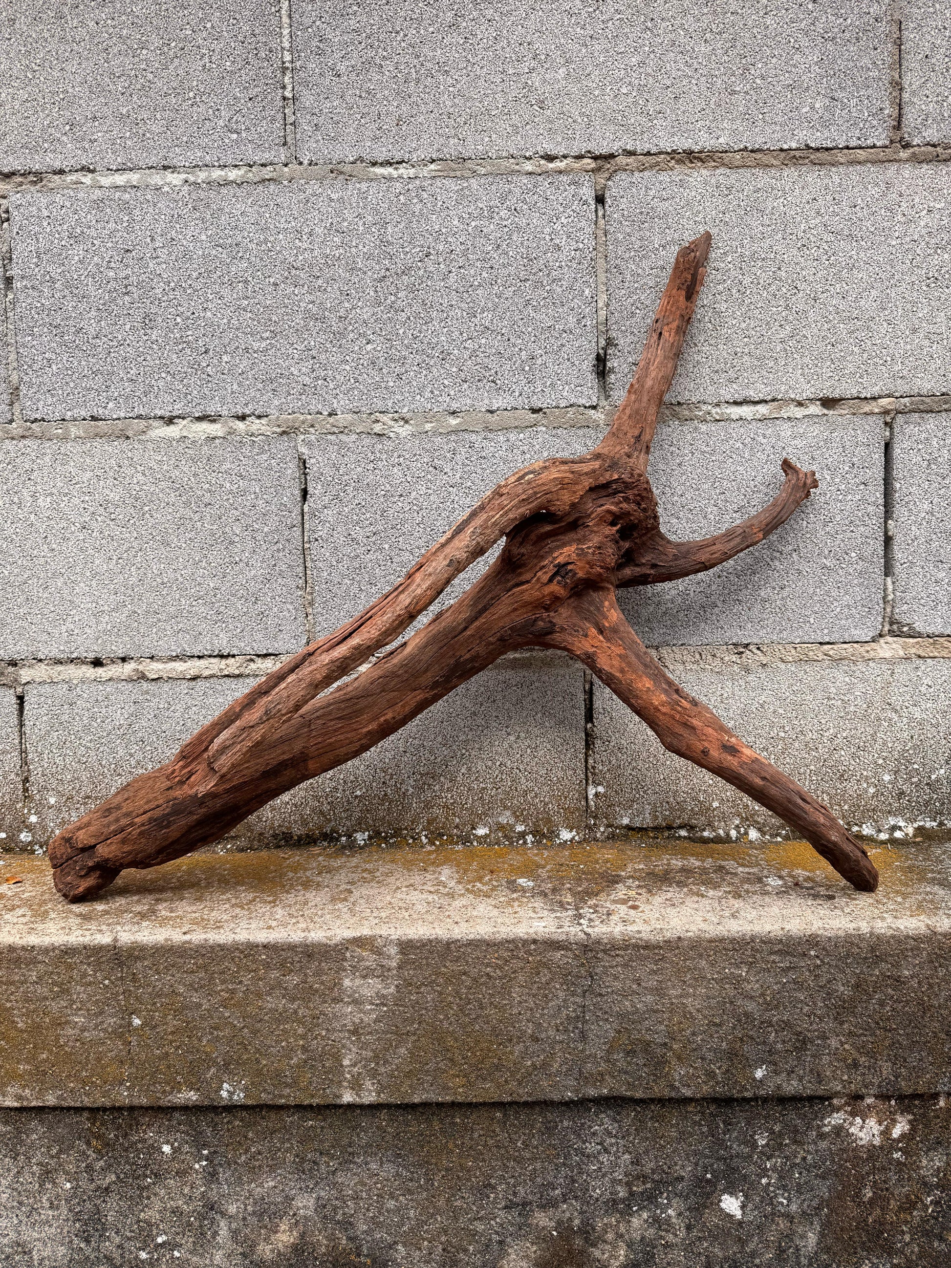 Drift Wood - 75*22*42 - cod.038 AQPET