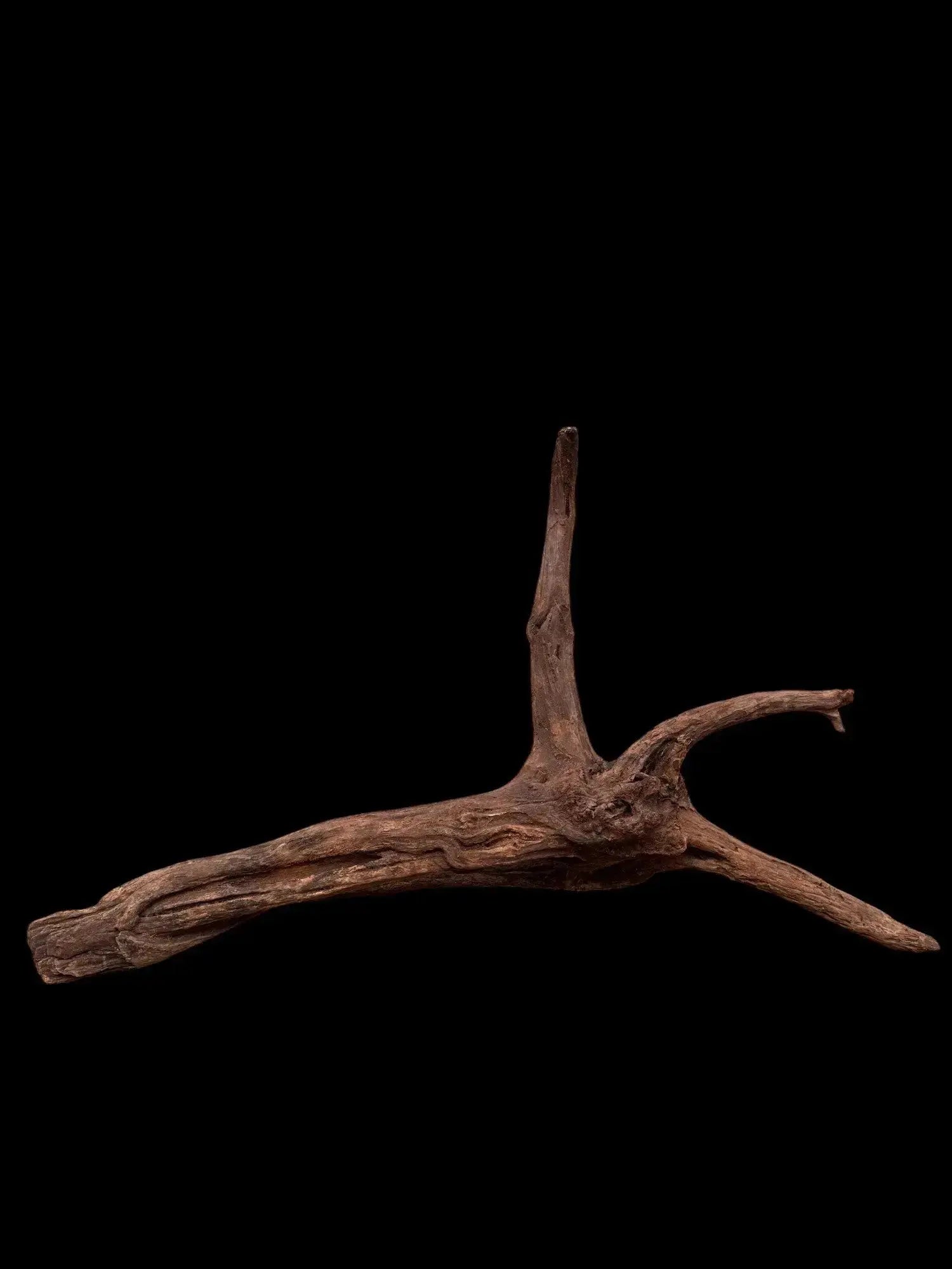 Drift Wood - 75*22*42 - cod.038 AQPET