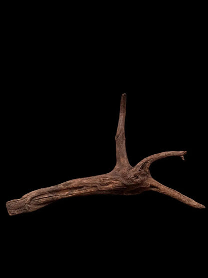Drift Wood - 75*22*42 - cod.038 AQPET