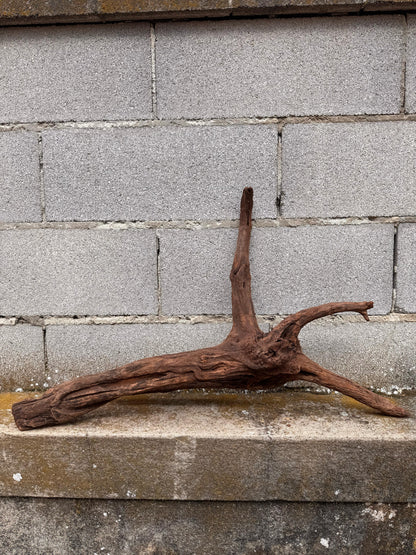 Drift Wood - 75*22*42 - cod.038 AQPET