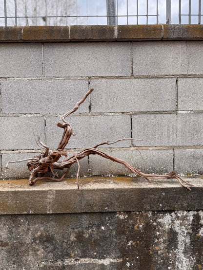 Azalea Roots - 87*27*48 - cod.039 AQPET