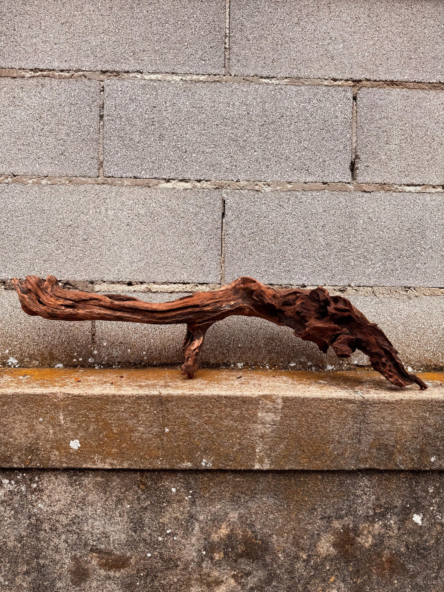 Drift Wood - 74*18*19 - cod.041