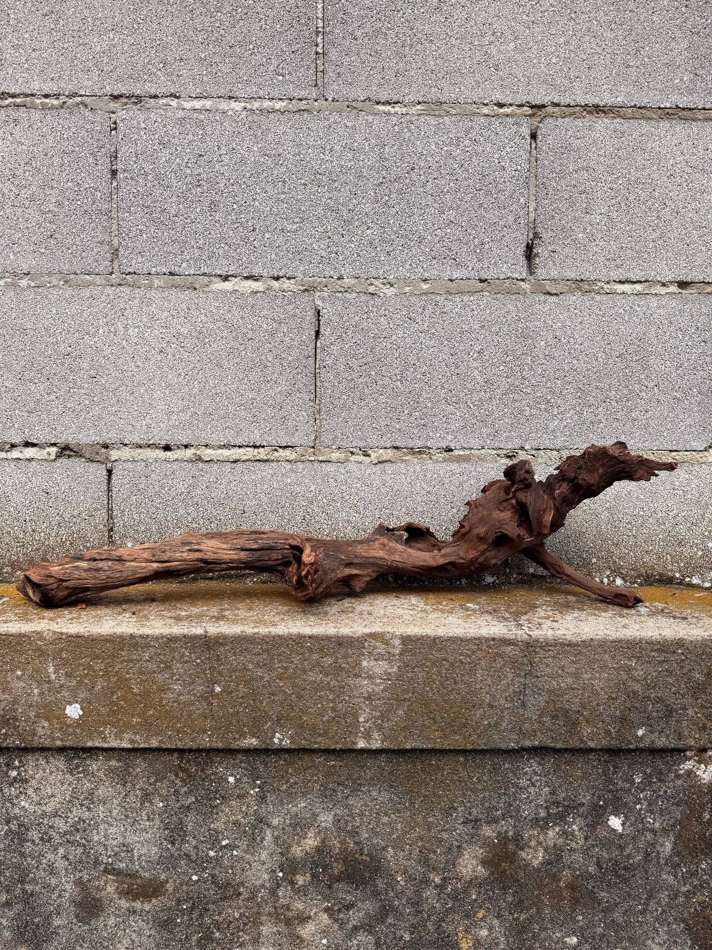 Drift Wood - 74*18*19 - cod.041