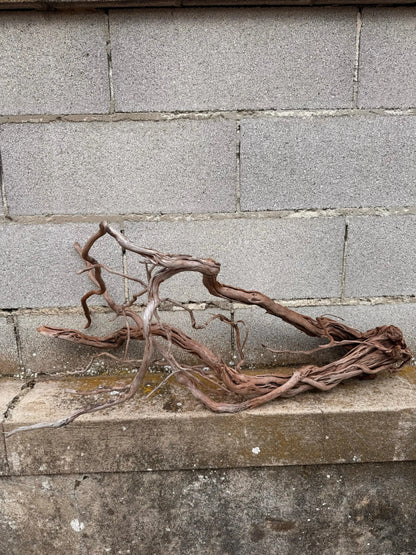 Azalea Roots - 83*36*65 - cod.043 AQPET