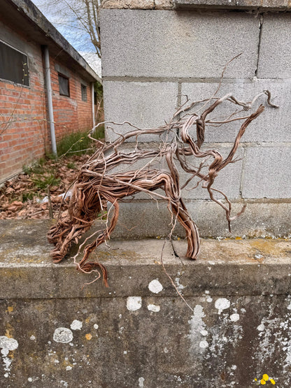 Azalea Roots - 83*36*65 - cod.043 AQPET