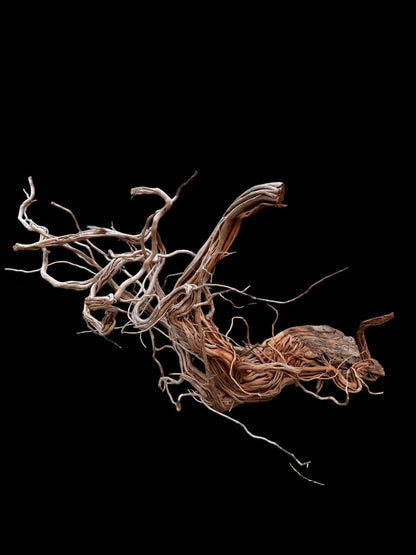Azalea Roots - 83*36*65 - cod.043 AQPET