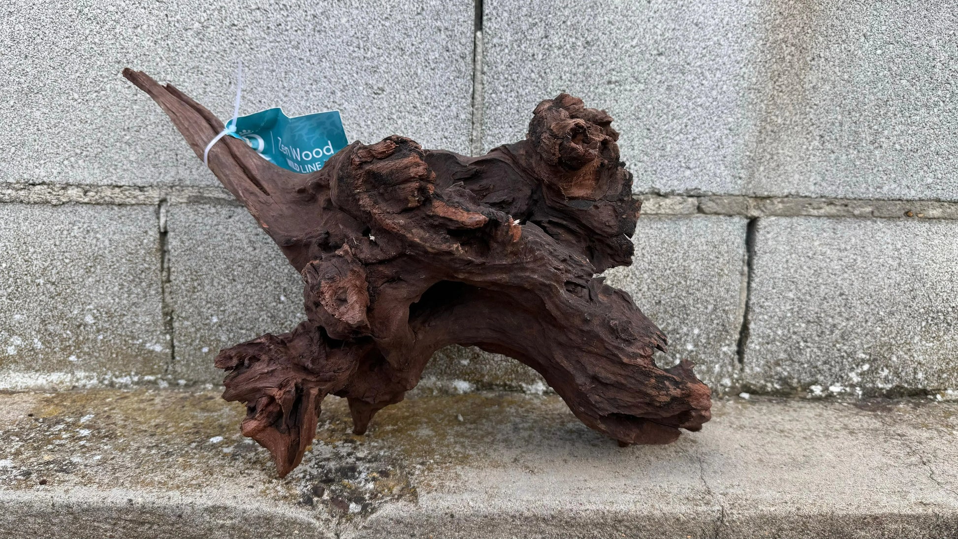 Drift Wood - 45*22*28 AQPET