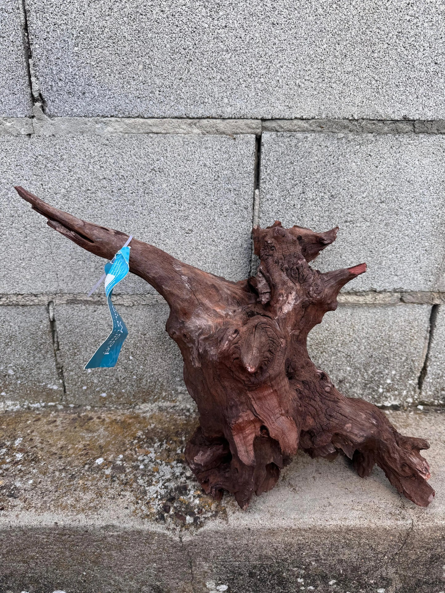 Drift Wood - 45*22*28 AQPET