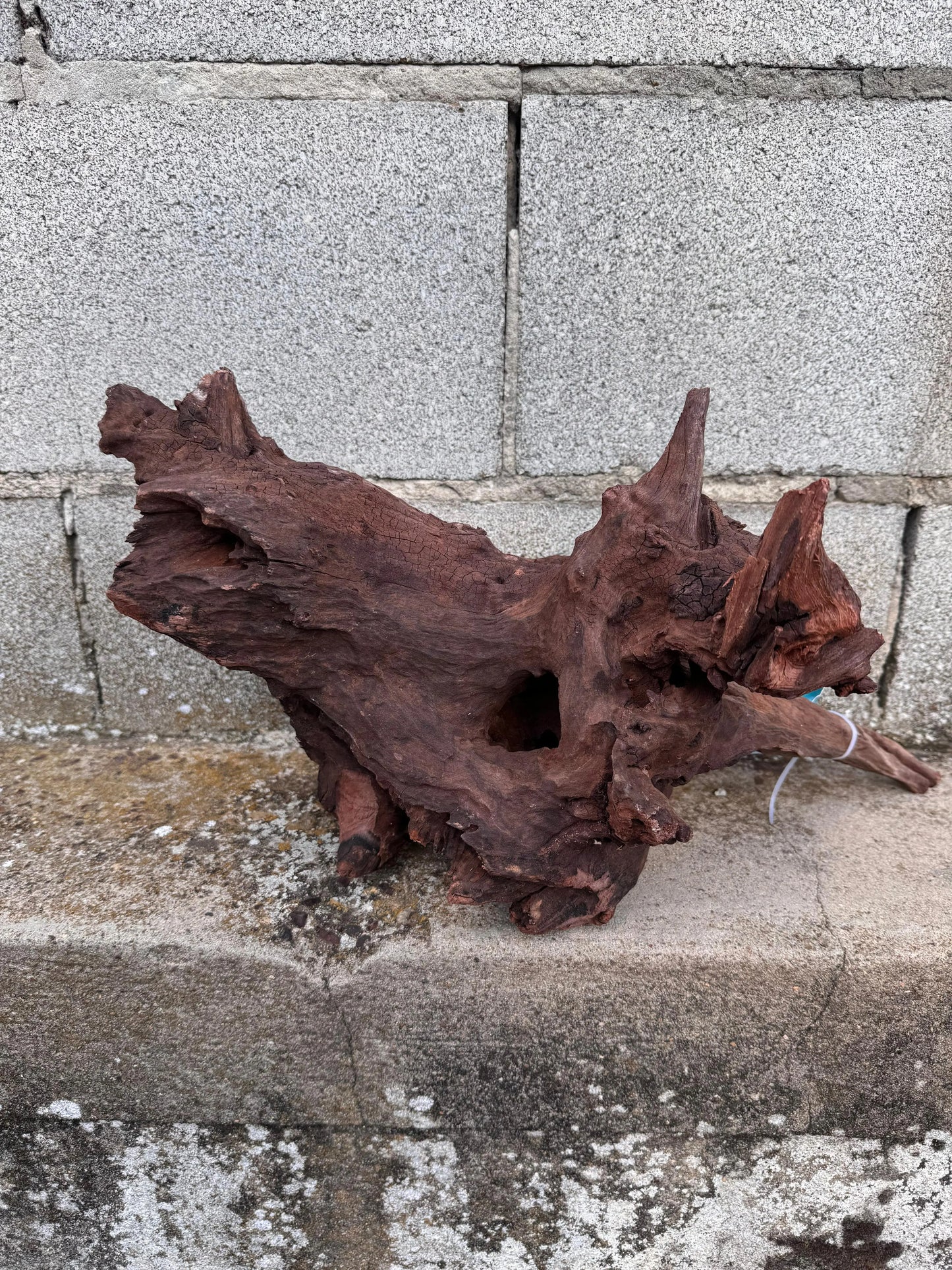 Drift Wood - 45*22*28 AQPET