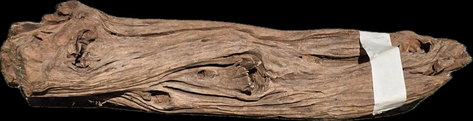 Drift Wood - 45*10*11 - cod.007 AQPET