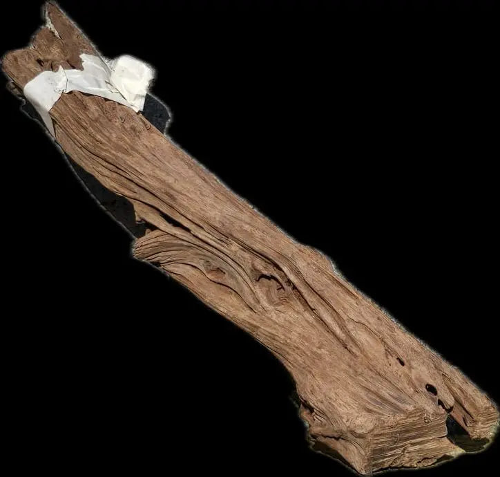 Drift Wood - 45*10*11 - cod.007 AQPET
