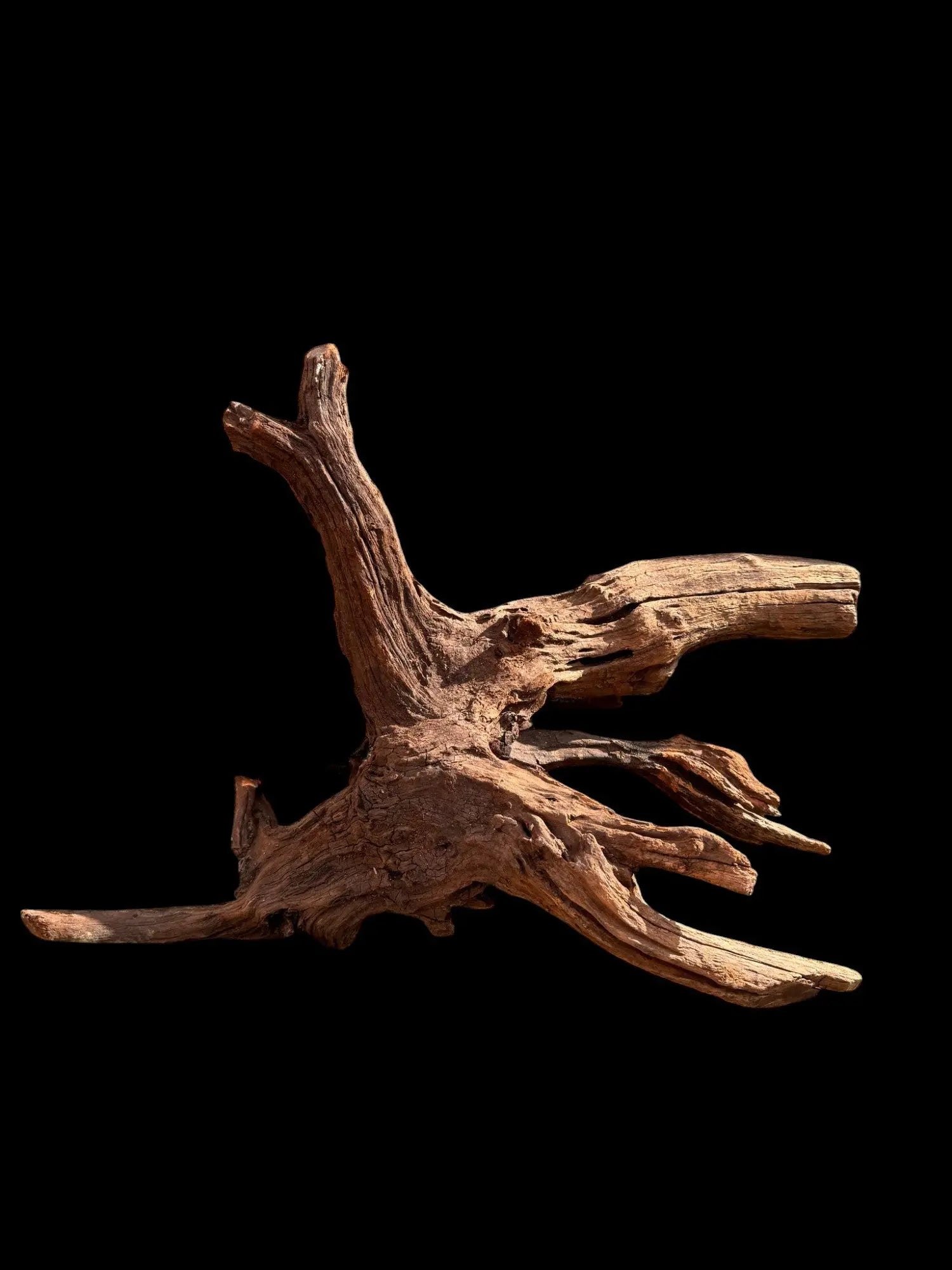Drift Wood - 57*24*39 - cod.030 AQPET