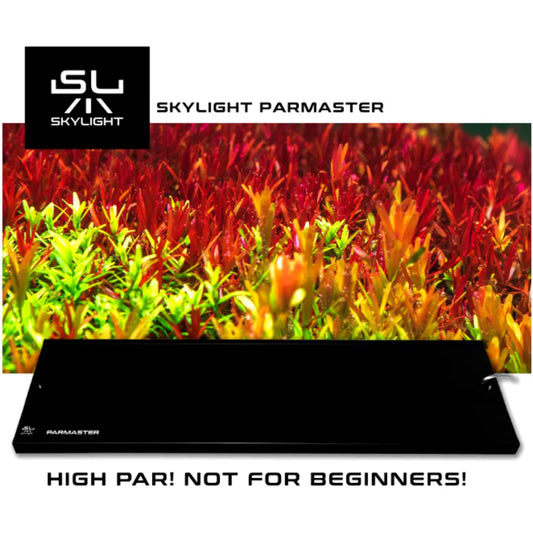 SKYLIGHT - Parmaster Skylight