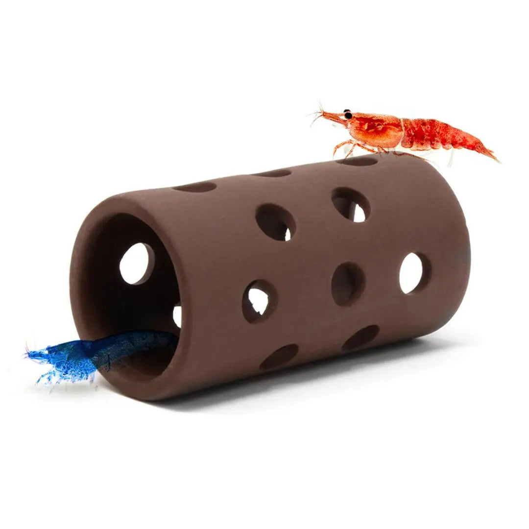 Aquavitro -  Shrimp Tube Aquarium Setup
