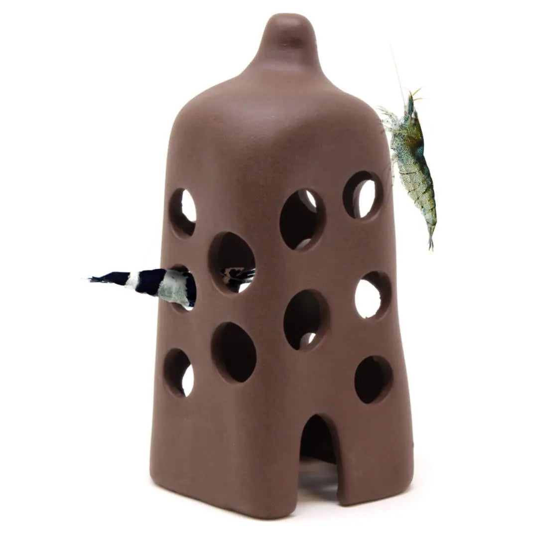 Aquavitro -  Shrimp Tall Hut Aquarium Setup