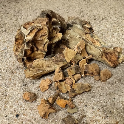 WIO - Dragon Chip Accent WIO