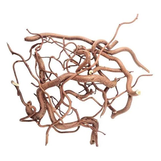 WIO - Twisted Root - Aquarium Setup
