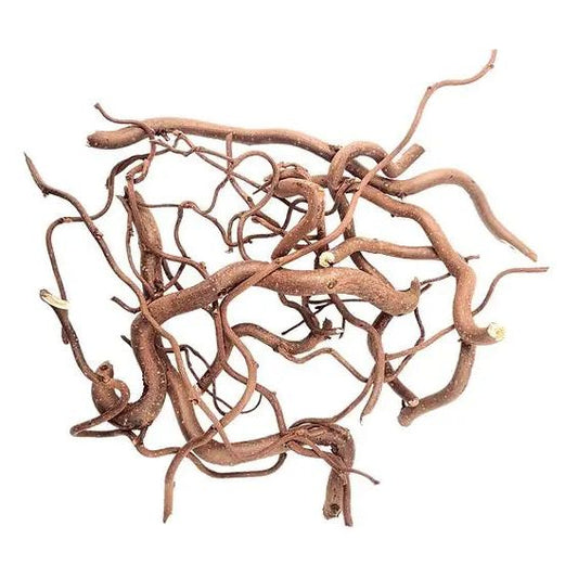 WIO - Twisted Root - Aquarium Setup