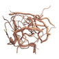WIO - Twisted Root - Aquarium Setup