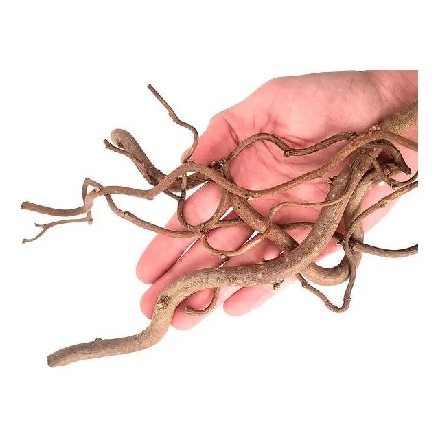 WIO - Twisted Root - Aquarium Setup