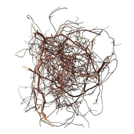 WIO Mini Roots - Aquarium Setup