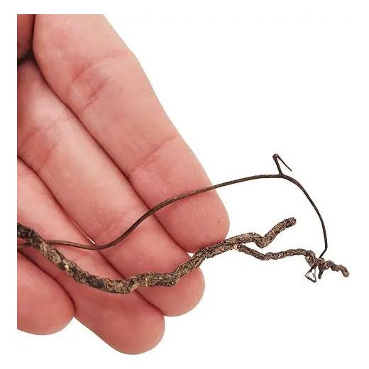 WIO Mini Roots - Aquarium Setup
