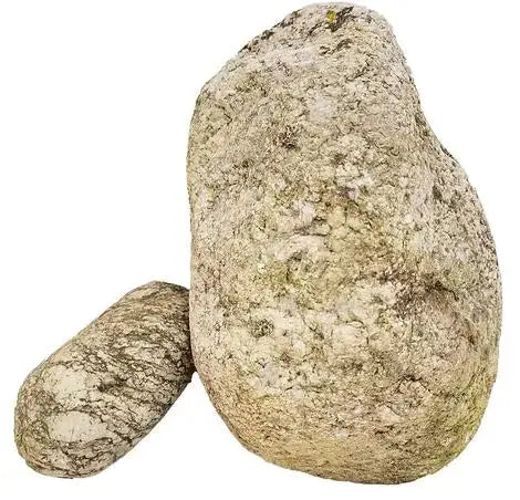 WIO - Elderly Boulder WIO