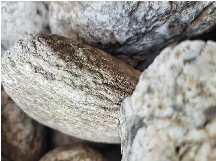 WIO - Elderly Boulder WIO
