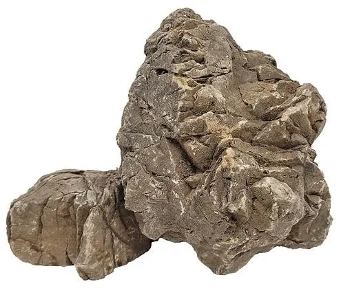 WIO - Elderly Stone WIO