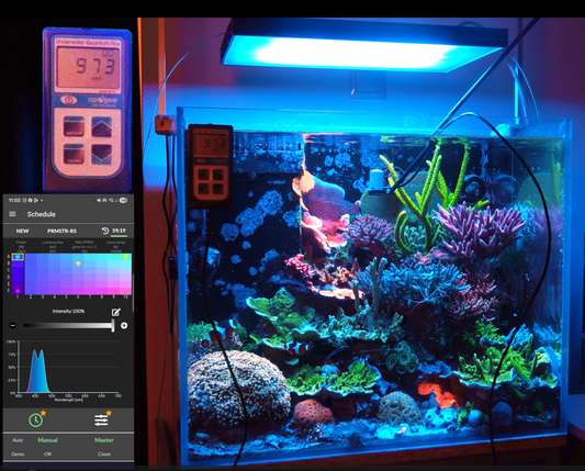 SKYLIGHT - Parmaster RM Skylight