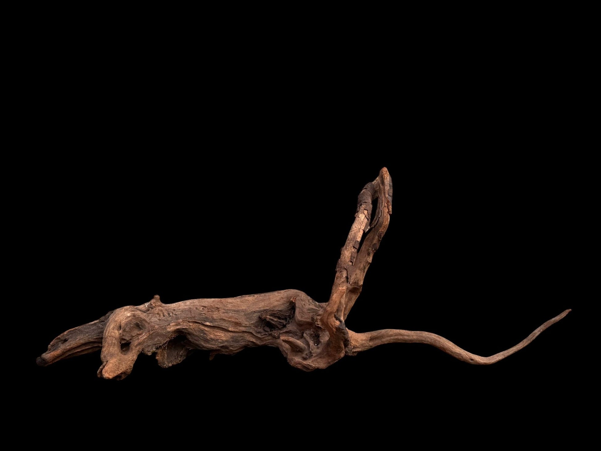 Drift Wood - 62*19*24 - cod.044 AQPET