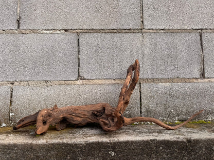 Drift Wood - 62*19*24 - cod.044 AQPET