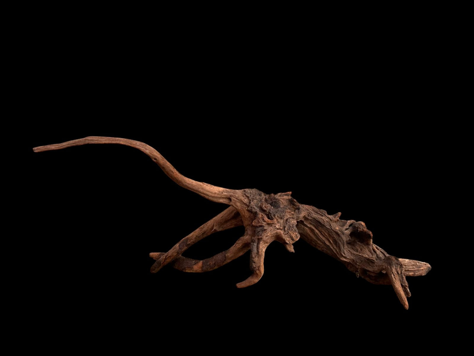 Drift Wood - 62*19*24 - cod.044 AQPET