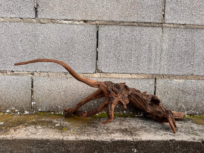 Drift Wood - 62*19*24 - cod.044 AQPET