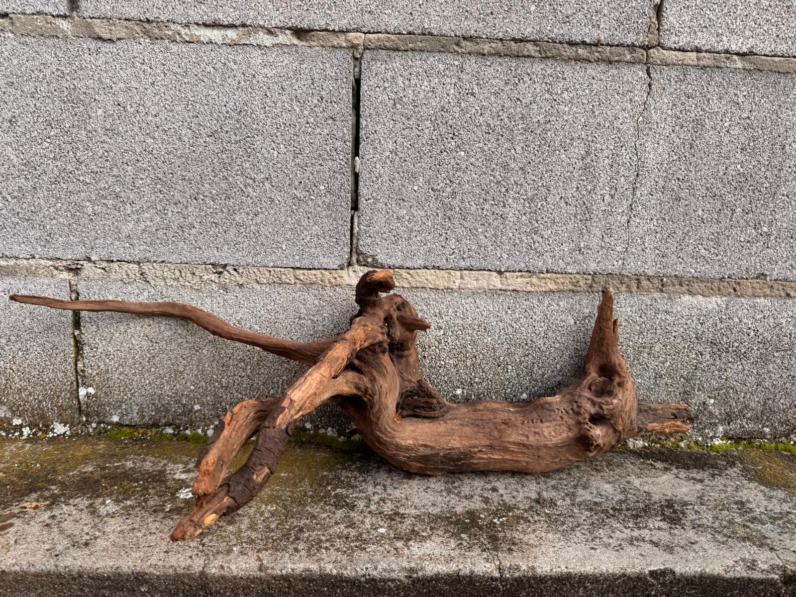 Drift Wood - 62*19*24 - cod.044 AQPET