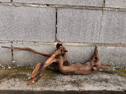 Drift Wood - 62*19*24 - cod.044 AQPET