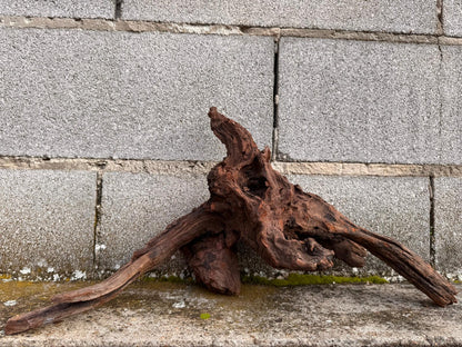 Drift Wood - 48*18*25 - cod.045 AQPET